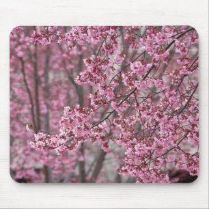 Sakura Cherry Blossoms Flowing Pink Mouse Pad