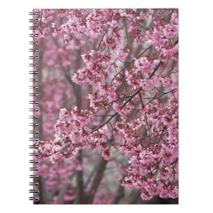 Sakura Cherry Blossoms Flowing Pink Notebook