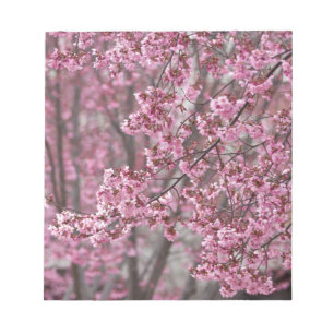 Sakura Cherry Blossoms Flowing Pink Notepad