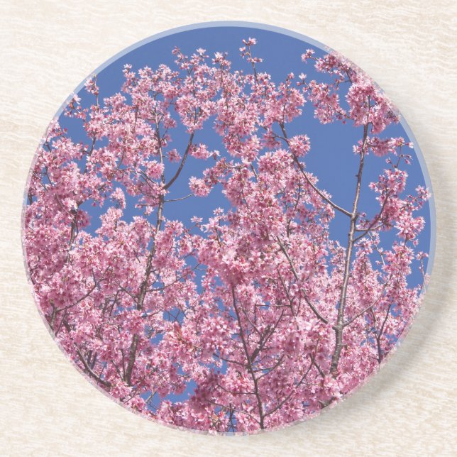 Sakura Cherry Blossoms Into The Blue Coaster (Front)