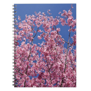 Sakura Cherry Blossoms Into The Blue Notebook