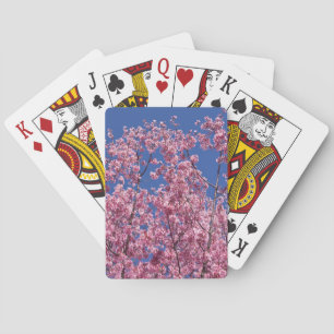 Sakura Cherry Blossoms Into The Blue Playing Cards