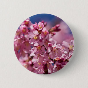 Sakura Cherry Blossoms Kissed by Sunlight 6 Cm Round Badge