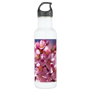 Sakura Cherry Blossoms Kissed by Sunlight 710 Ml Water Bottle