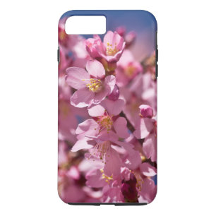 Sakura Cherry Blossoms Kissed by Sunlight iPhone 8 Plus/7 Plus Case