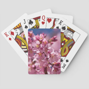 Sakura Cherry Blossoms Kissed by Sunlight Playing Cards