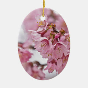 Sakura Cherry Blossoms Pale Pink Ceramic Tree Decoration