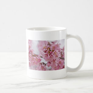 Sakura Cherry Blossoms Pale Pink Coffee Mug