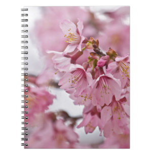 Sakura Cherry Blossoms Pale Pink Notebook