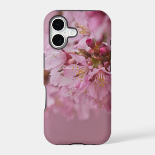 Sakura Cherry Blossoms Pale Pink Reflections