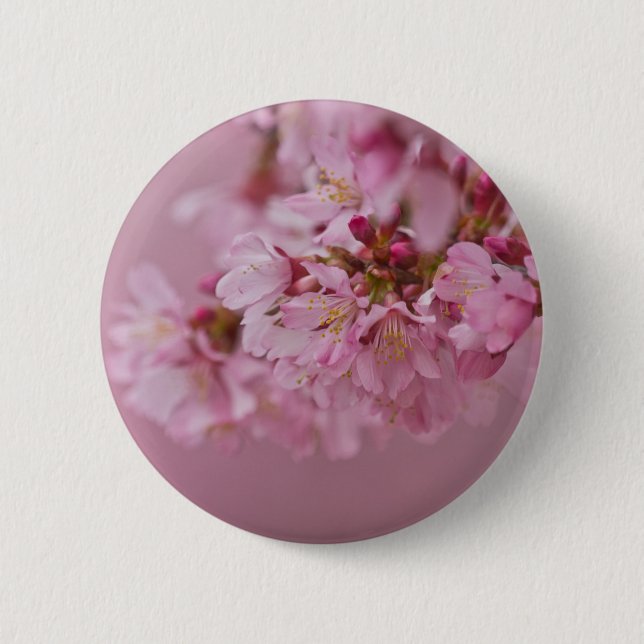 Sakura Cherry Blossoms Pale Pink Reflections 6 Cm Round Badge (Front)
