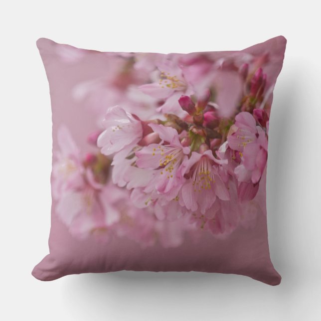 Sakura Cherry Blossoms Pale Pink Reflections Cushion (Front)