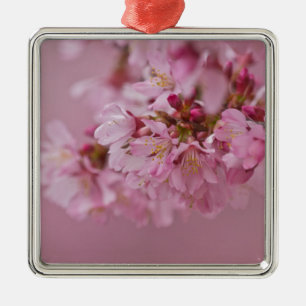 Sakura Cherry Blossoms Pale Pink Reflections Metal Ornament