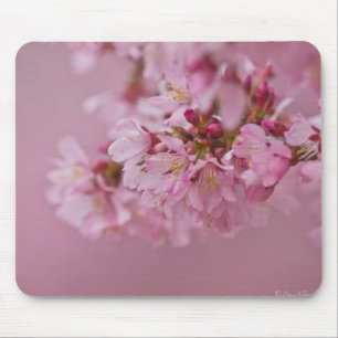 Sakura Cherry Blossoms Pale Pink Reflections Mouse Pad