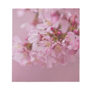 Sakura Cherry Blossoms Pale Pink Reflections Notepad