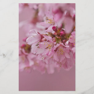 Sakura Cherry Blossoms Pale Pink Reflections Stationery