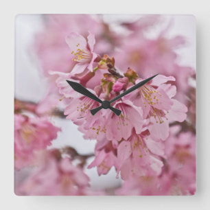 Sakura Cherry Blossoms Pale Pink Square Wall Clock