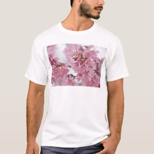 Sakura Cherry Blossoms Pale Pink T-Shirt