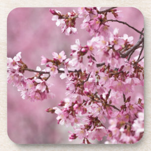 Sakura Cherry Blossoms Pastel Pink Layers Coaster