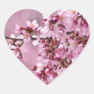 Sakura Cherry Blossoms Pastel Pink Layers Heart Sticker