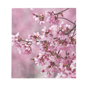 Sakura Cherry Blossoms Pastel Pink Layers Notepad