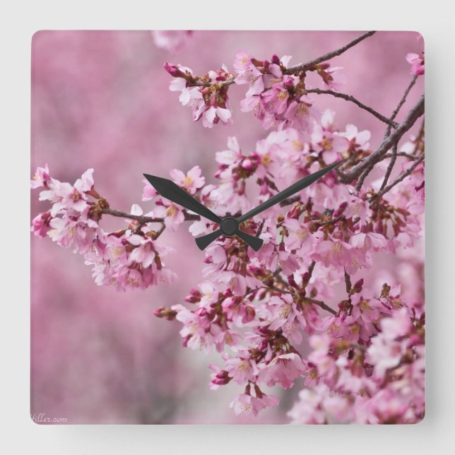 Sakura Cherry Blossoms Pastel Pink Layers Square Wall Clock (Front)
