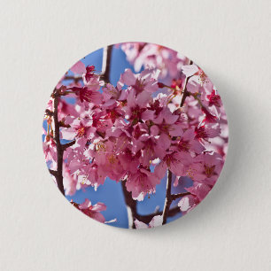Sakura Cherry Blossoms Red Stars 6 Cm Round Badge