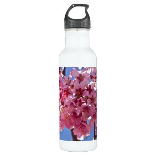 Sakura Cherry Blossoms Red Stars 710 Ml Water Bottle