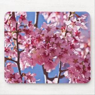 Sakura Cherry Blossoms Red Stars Mouse Pad