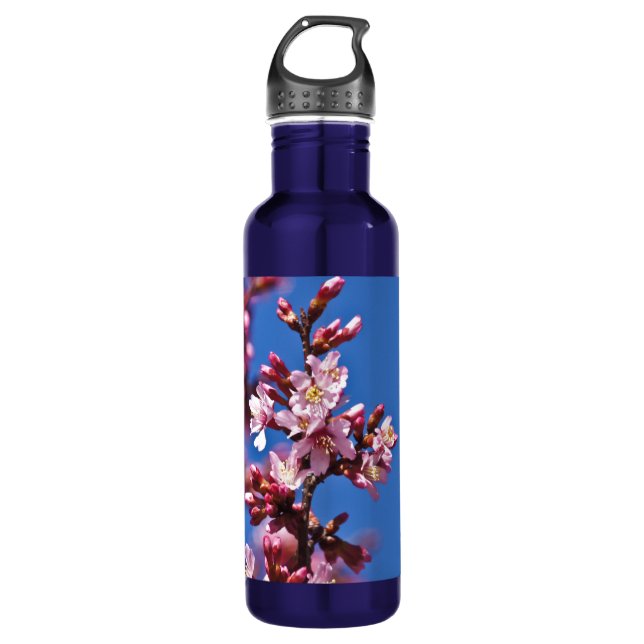 Sakura Cherry Blossoms Touching Blue 710 Ml Water Bottle (Front)