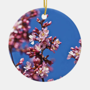 Sakura Cherry Blossoms Touching Blue Ceramic Tree Decoration