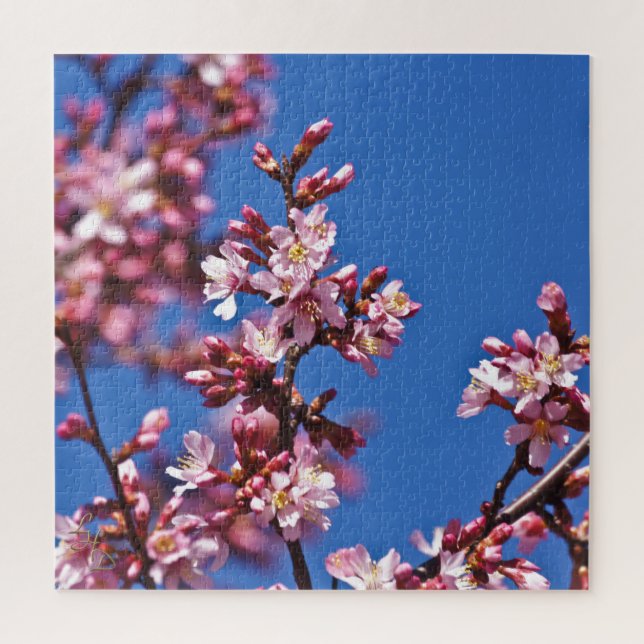 Sakura Cherry Blossoms Touching Blue Jigsaw Puzzle (Vertical)