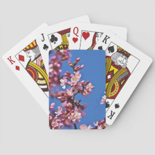 Sakura Cherry Blossoms Touching Blue Playing Cards