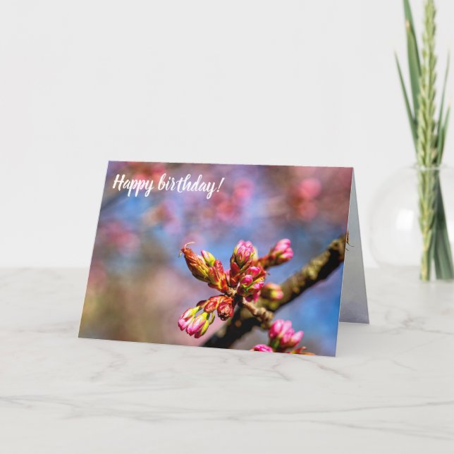 Sakura Cherry Tree Buds. The Beginning Of Spring Card (Front)