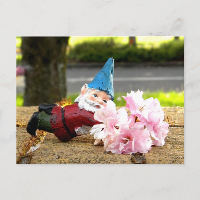 Sakura Cornelius Postcard (Front)