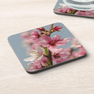 Sakura Flower, Pink Japanese Flower Coaster
