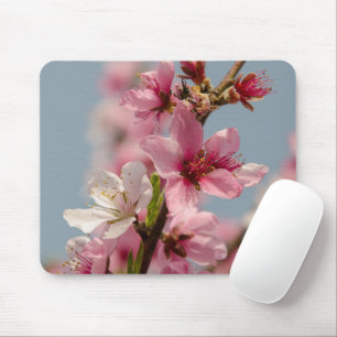 Sakura Flower, Pink Japanese Flower Mouse Pad