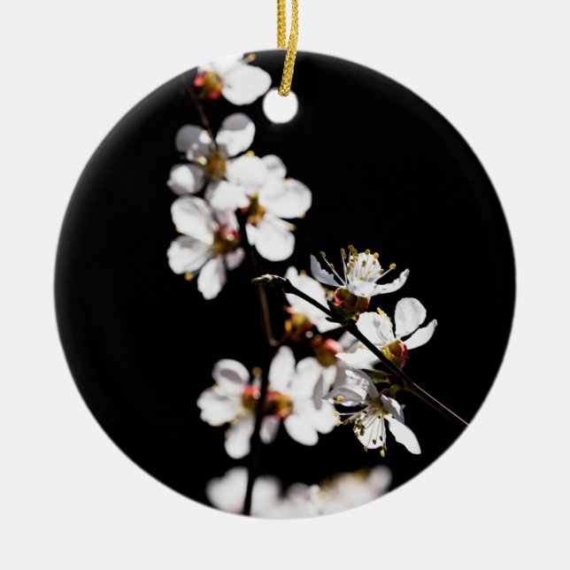 Sakura flowers ceramic ornament (Front)