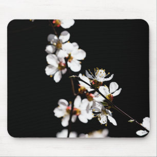Sakura flowers mouse pad