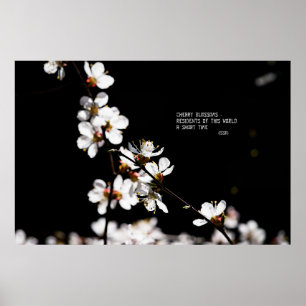 Sakura flowers poster