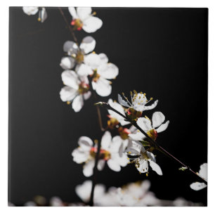 Sakura flowers tile