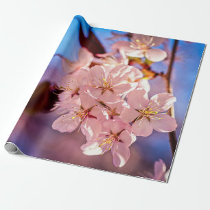 Sakura In The Tree Shade Wrapping Paper