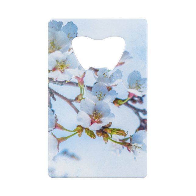 Sakura - Japanese Cherry Blossom (Back)