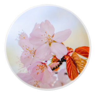 Sakura - Japanese cherry blossom Ceramic Knob