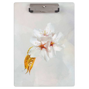 Sakura - Japanese cherry blossom Clipboard