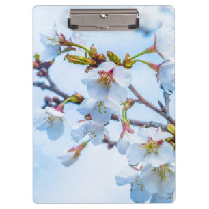 Sakura - Japanese Cherry Blossom Clipboard