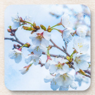 Sakura - Japanese Cherry Blossom Coaster