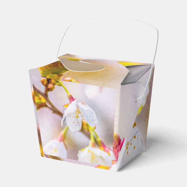 Sakura - Japanese Cherry Blossom Favour Box (Front Side)