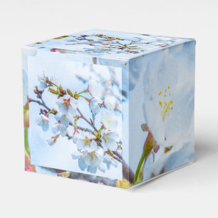 Sakura - Japanese Cherry Blossom Favour Box