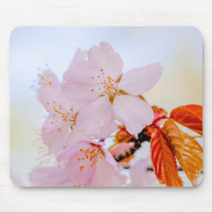 Sakura - Japanese cherry blossom Mouse Pad